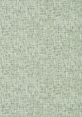 a green and white background with small dots