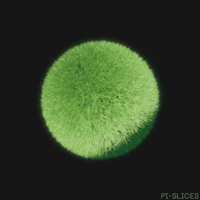 a close up of a green ball on a black background