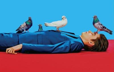 a man laying on the ground with pigeons on his head