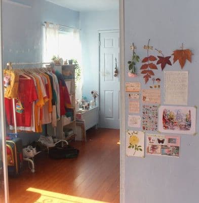 a room with a bunch of clothes hanging on a rack