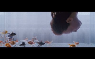 a woman looking at fish in an aquarium
