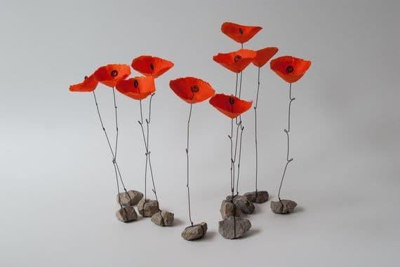 a group of red flowers sitting on top of rocks