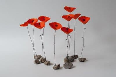 a group of red flowers sitting on top of rocks