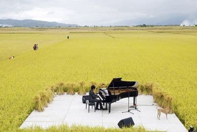 a piano sitting on top of a cement slab in a field