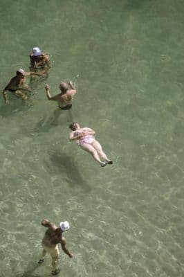 a group of people swimming in a body of water