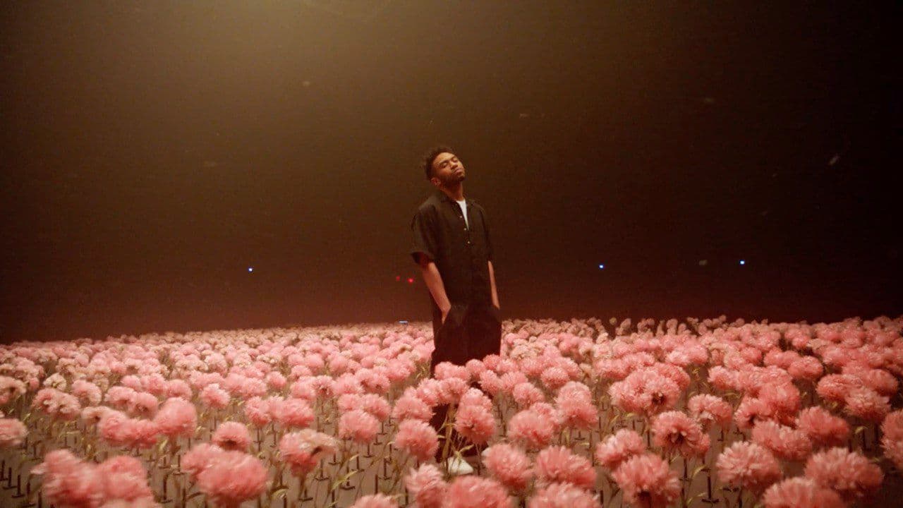 a man standing in a field of pink flowers
