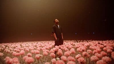 a man standing in a field of pink flowers