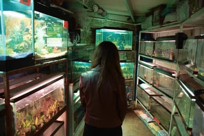 a woman looking at fish in an aquarium