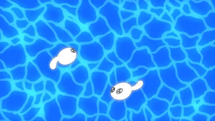 a couple of white fish floating on top of a blue pool