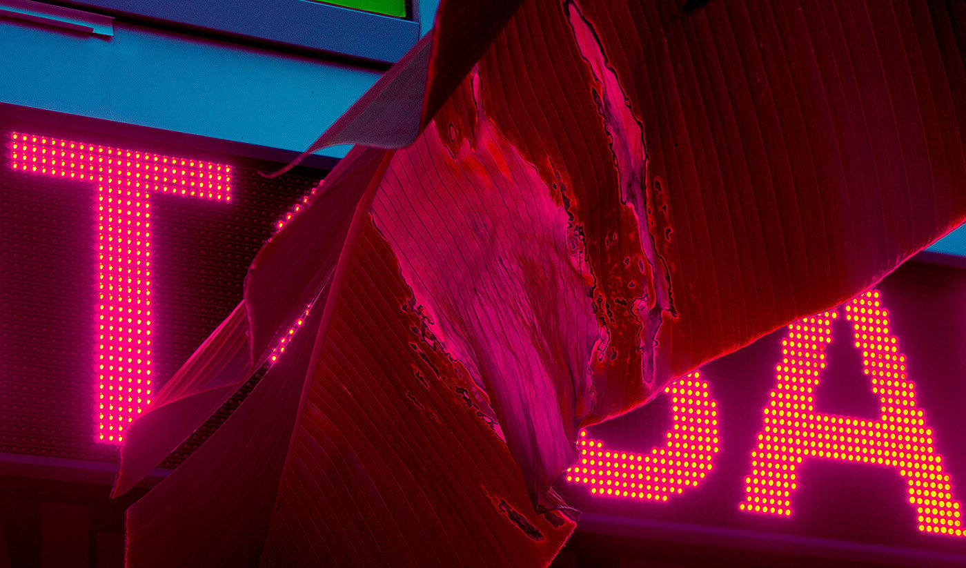 a neon sign with the word talk on it