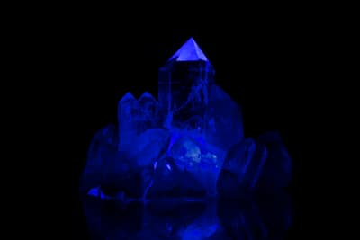 a blue ice sculpture sitting on top of a table