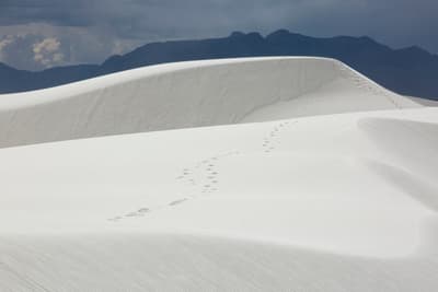 a person walking across a snow covered field