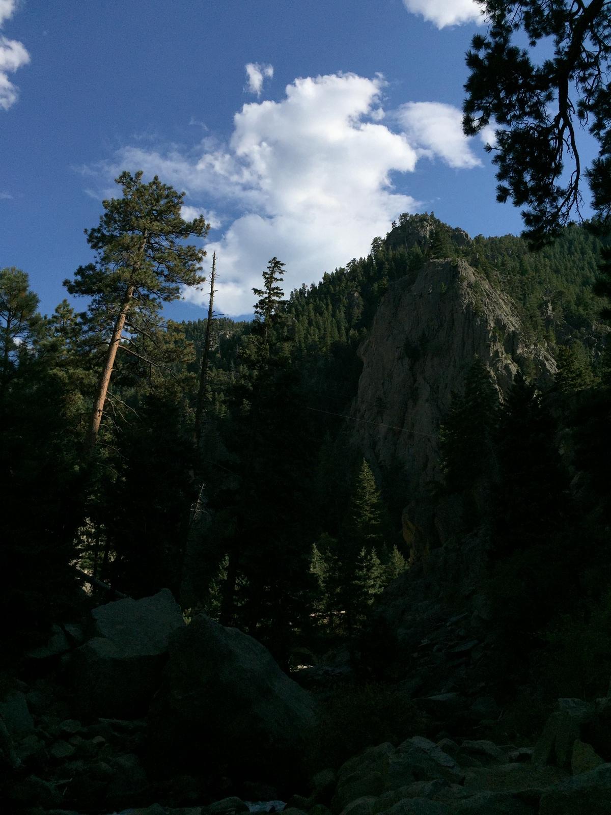 a view of the sky and trees from below