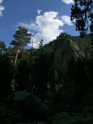 a view of the sky and trees from below