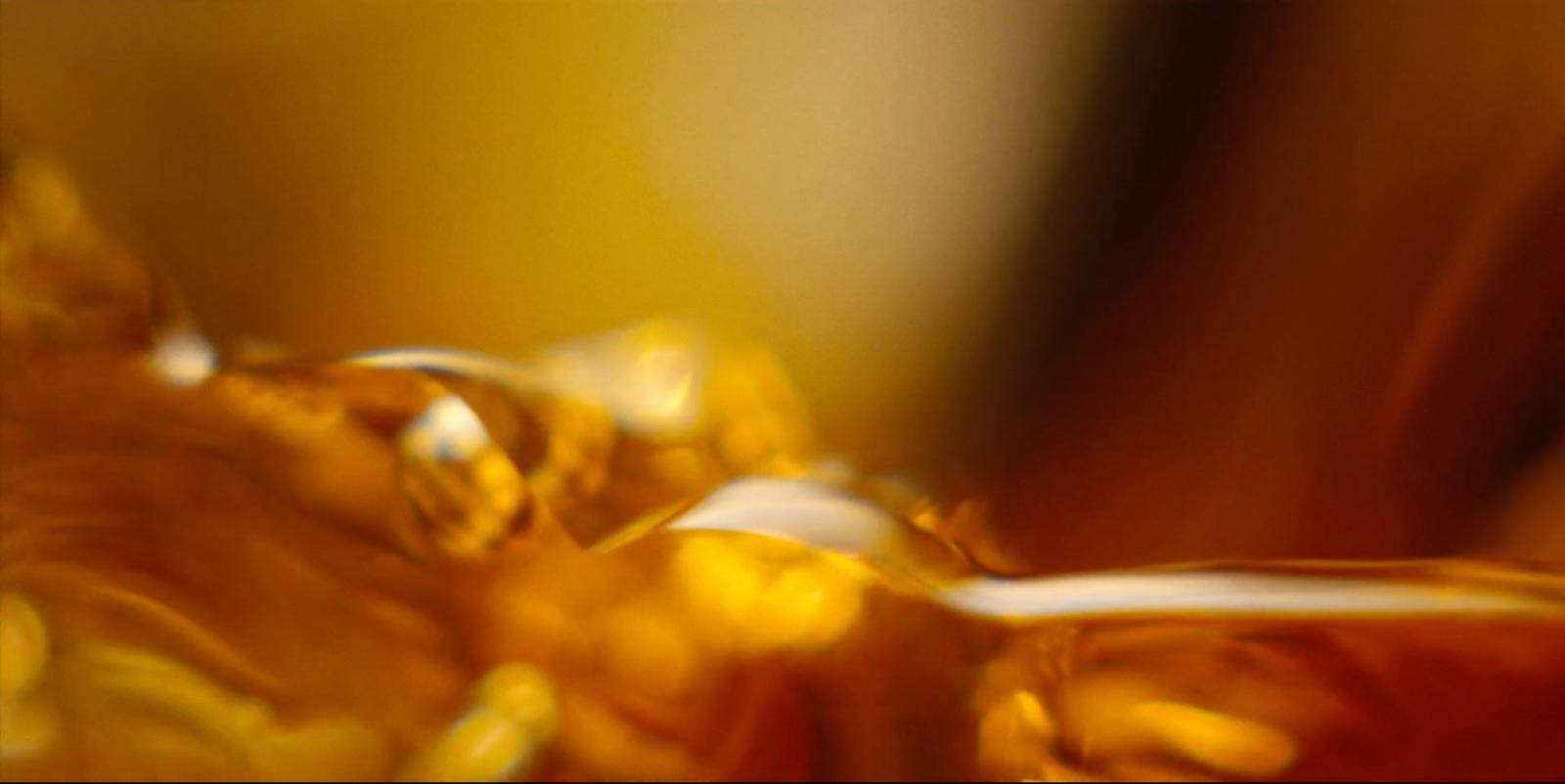 a blurry photo of an orange flower