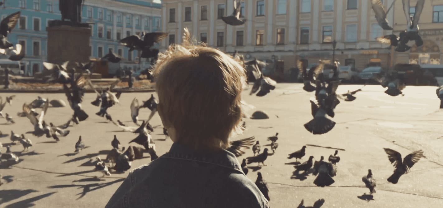 a person standing in front of a flock of birds