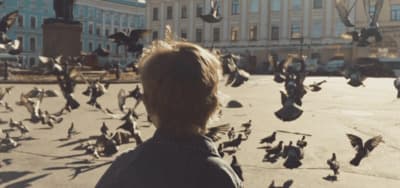 a person standing in front of a flock of birds