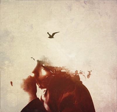 a man with a bird flying over his head