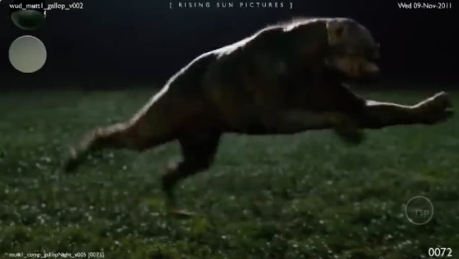 a dog jumping in the air in a field