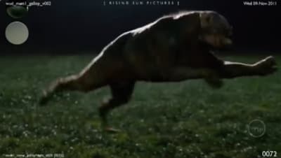 a dog jumping in the air in a field