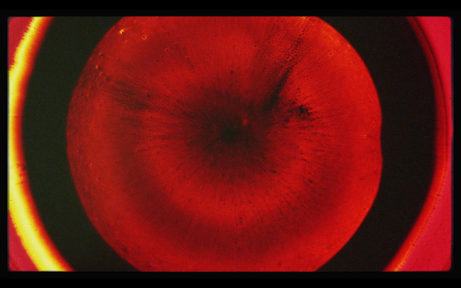 a close up of a red object with a black background