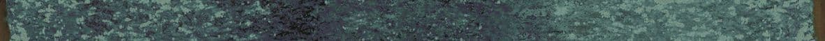 a blurry image of trees in a forest