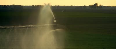 a sprinkler spraying water onto a field at sunset