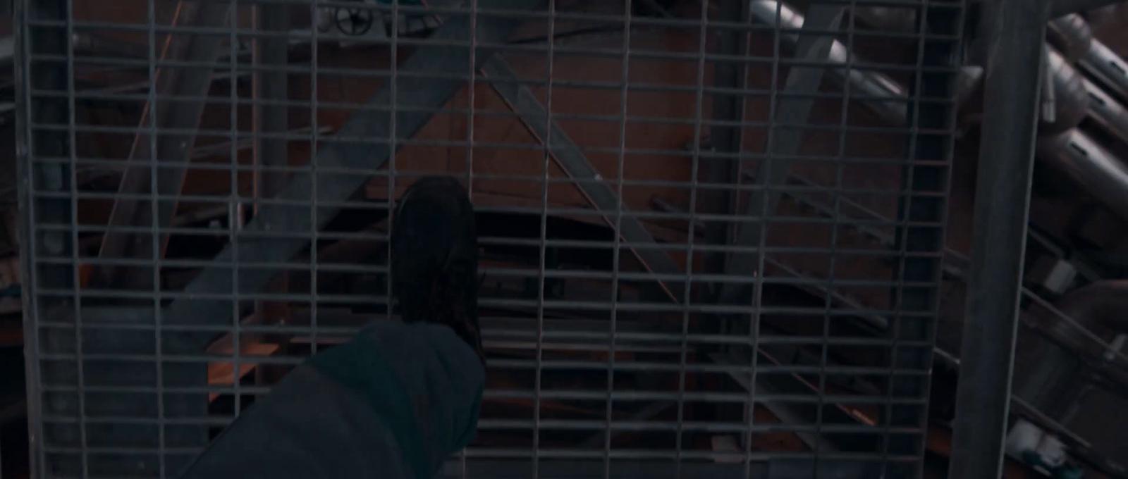 a person standing in front of a metal cage