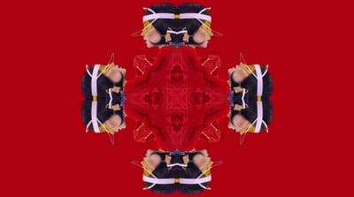 a red and black kaleion kaleion kaleion kaleion