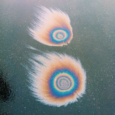 a couple of feathers that are on top of a table