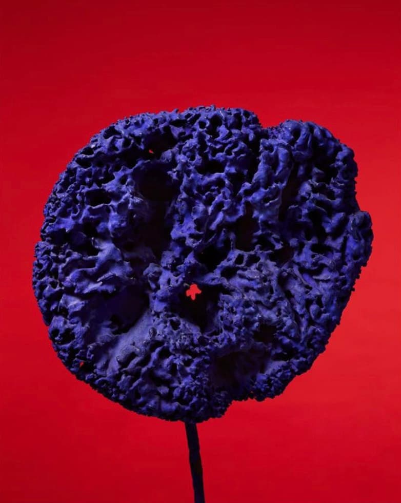 a blue piece of coral sitting on top of a red surface