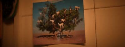 a picture of a tree with goats on it