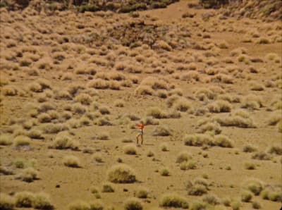 a person standing in the middle of a desert