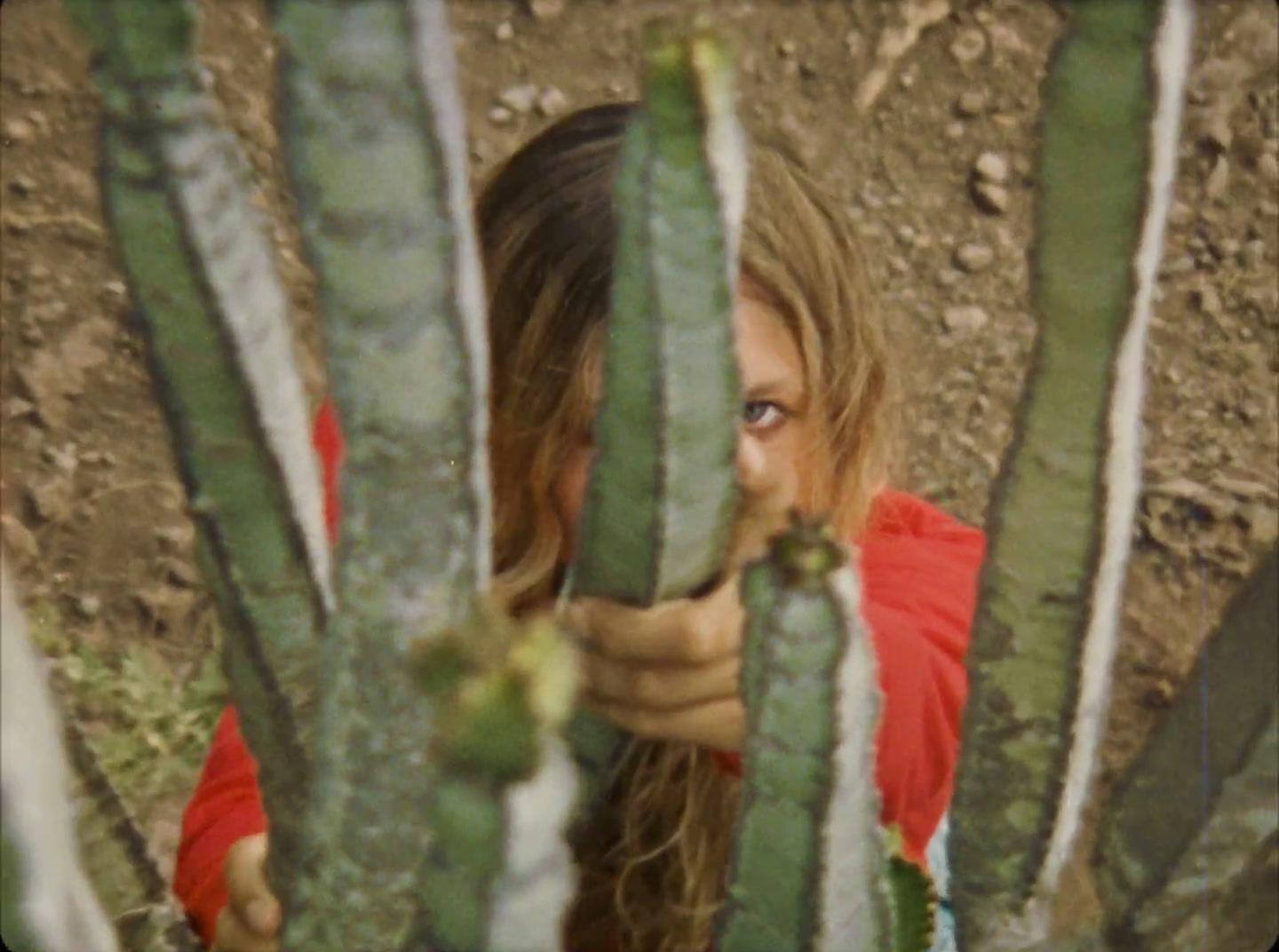 a young girl looking through the branches of a cactus