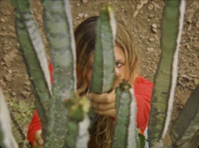 a young girl looking through the branches of a cactus