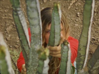 a young girl peeking through the branches of a cactus