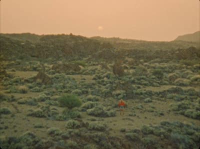 a person in a field with a kite in the sky