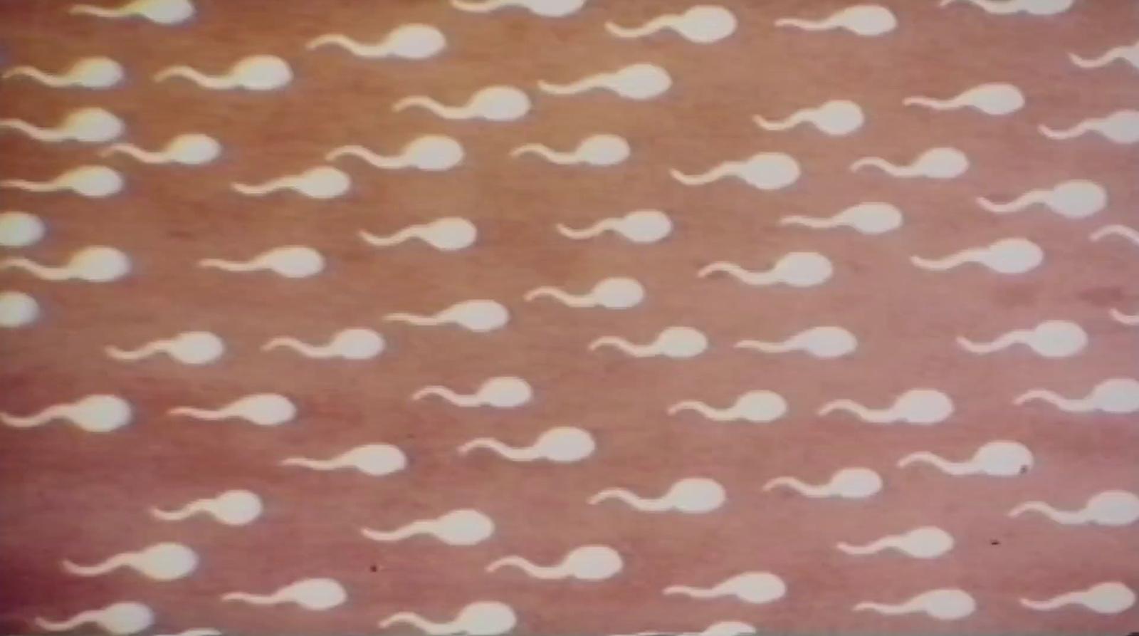 a brown background with white circles on it