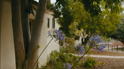 a blue flower in a vase next to a tree