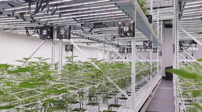 a large room filled with lots of plants