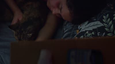 a woman laying on a bed next to a cat