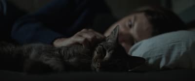 a man laying in bed with a cat
