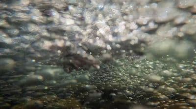 a close up of water bubbles on a surface