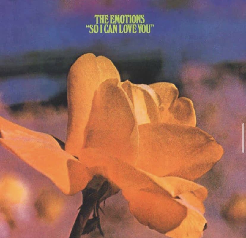 a yellow flower with the words the emotions so i can love you