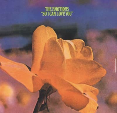 a yellow flower with the words the emotions so i can love you