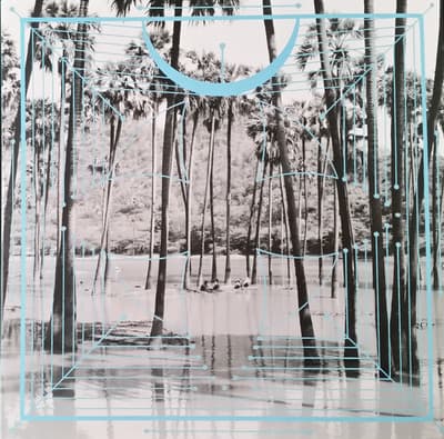 a blue and white photo of palm trees