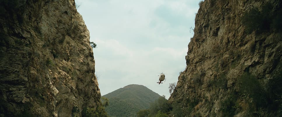 a bird sitting on the edge of a cliff
