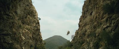 a bird sitting on the edge of a cliff