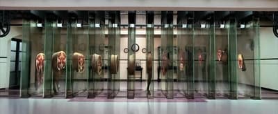 a room that has some glass doors in it