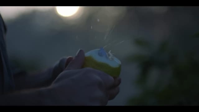 a person holding an apple in their hand